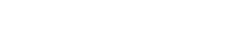 Bird Facts